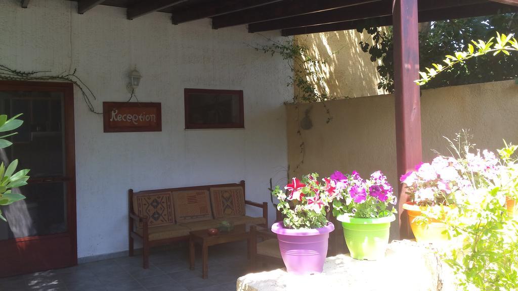 Galini Apartments Palekastro Exterior photo